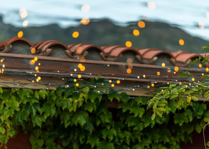 酒店 Boutique Niu De Sol - Designed For Adults 3*