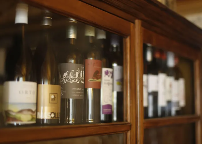 酒店 Boutique Niu De Sol - Designed For Adults 帕劳·萨巴尔德拉