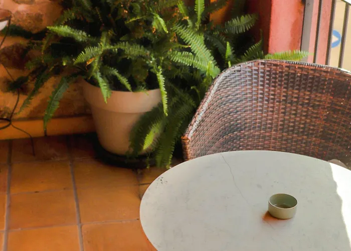 酒店 Boutique Niu De Sol - Designed For Adults 帕劳·萨巴尔德拉