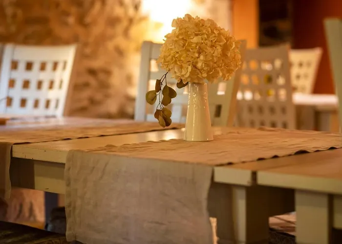 酒店 Boutique Niu De Sol - Designed For Adults 3*